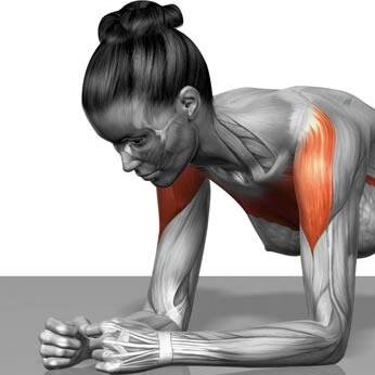Chaque jour durant 30 jours, on vous tweete l'exercice #gainage #planche du jour #abdominaux. Suivez @Defi30jours et go go go !!