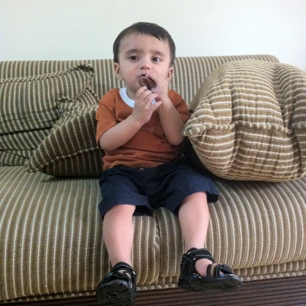 Oncologist by profession, patriotic Pakistani, nature and book lover, mommy of two adorable kiddos