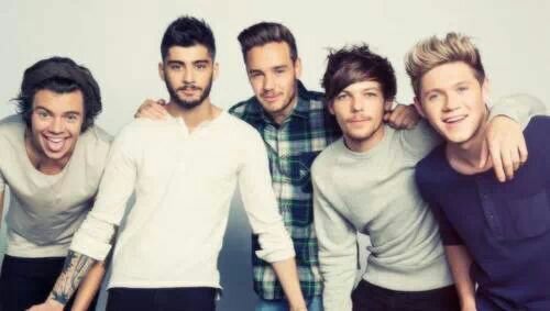 ~OneDirection3~