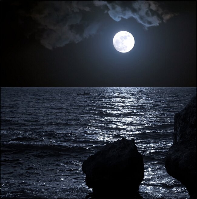 night00001's profile picture. не спите из-за мыслей в голове, здесь вас поймут...