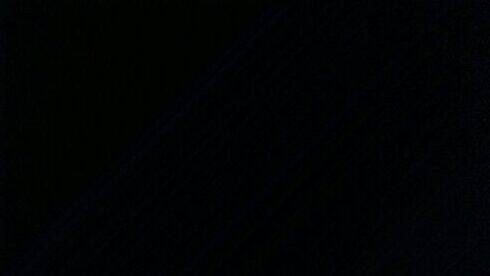 tayyvamps Profile Picture