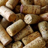 Wine World (@vineexp) 's Twitter Profile