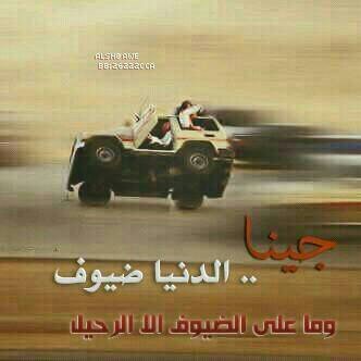 π²احبك | ETHGas ⛽