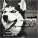 علي الشهراني (@0567095) Twitter