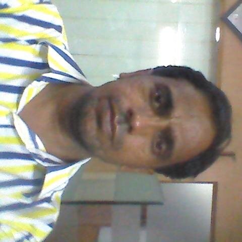 CEO at WDCII Pvt. Ltd. Lucknow