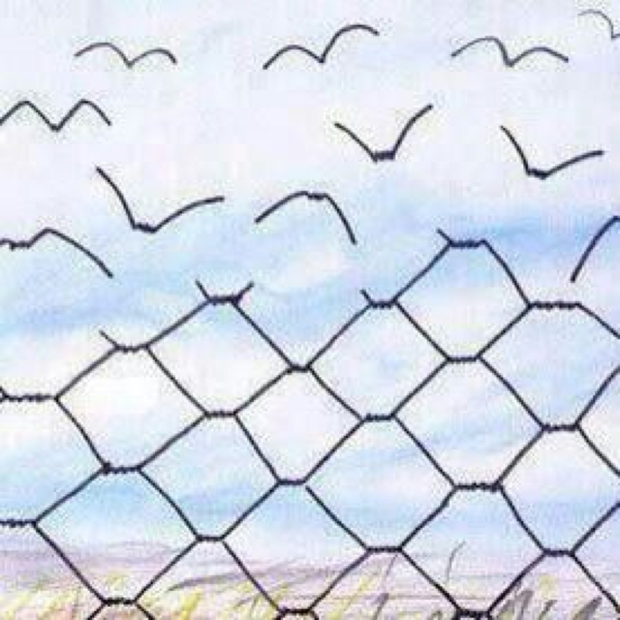 _s_o_18's profile picture. 