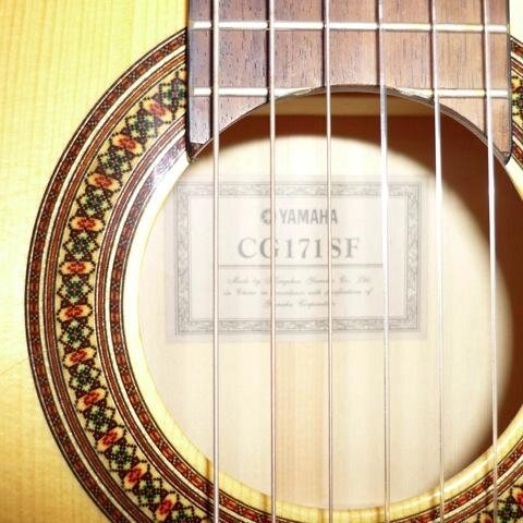 Harp, piano, violin, flamenco and classical guitar teacher. 
Learning is a rainbow of possibilities & discoveries.