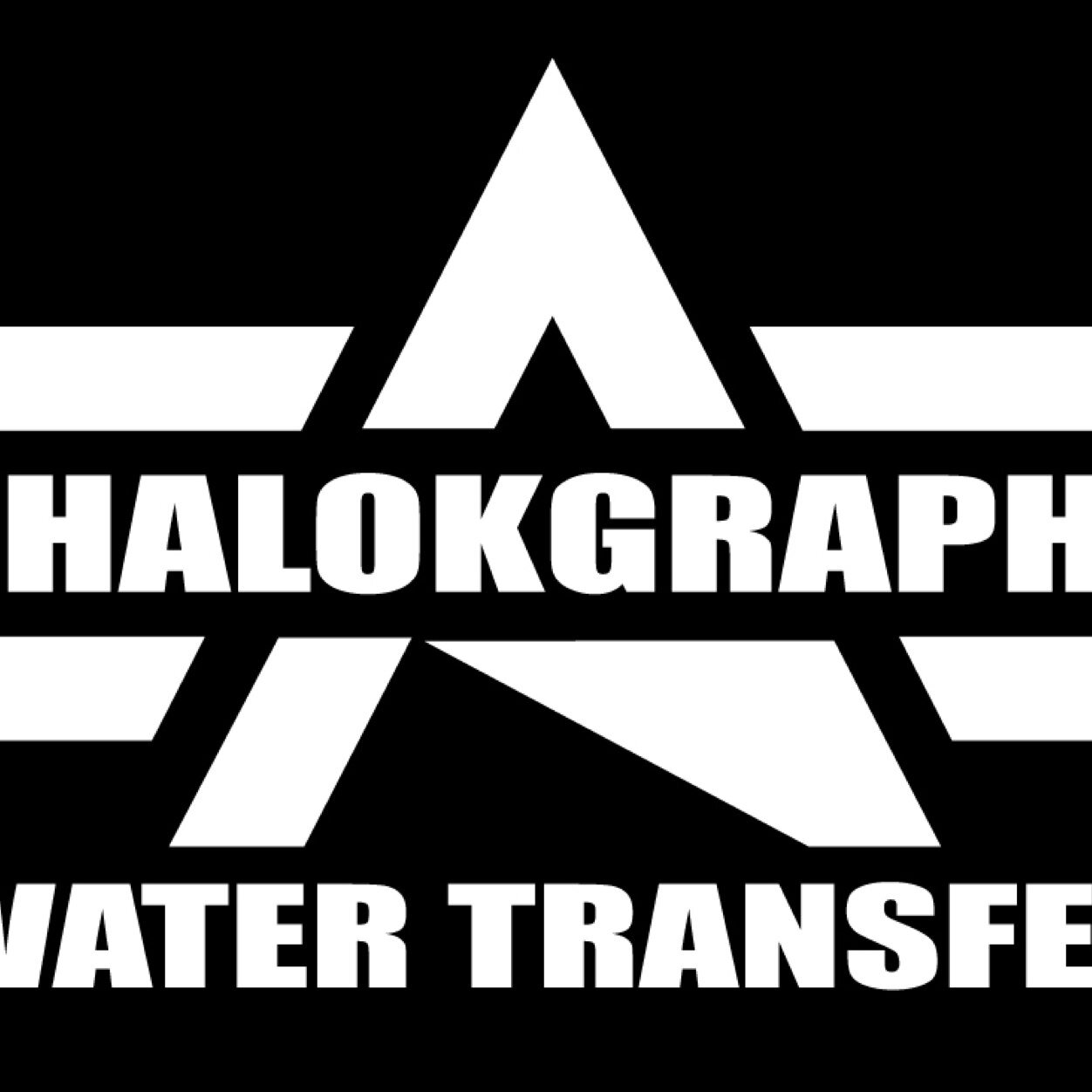 alphalokmeric's profile picture. 