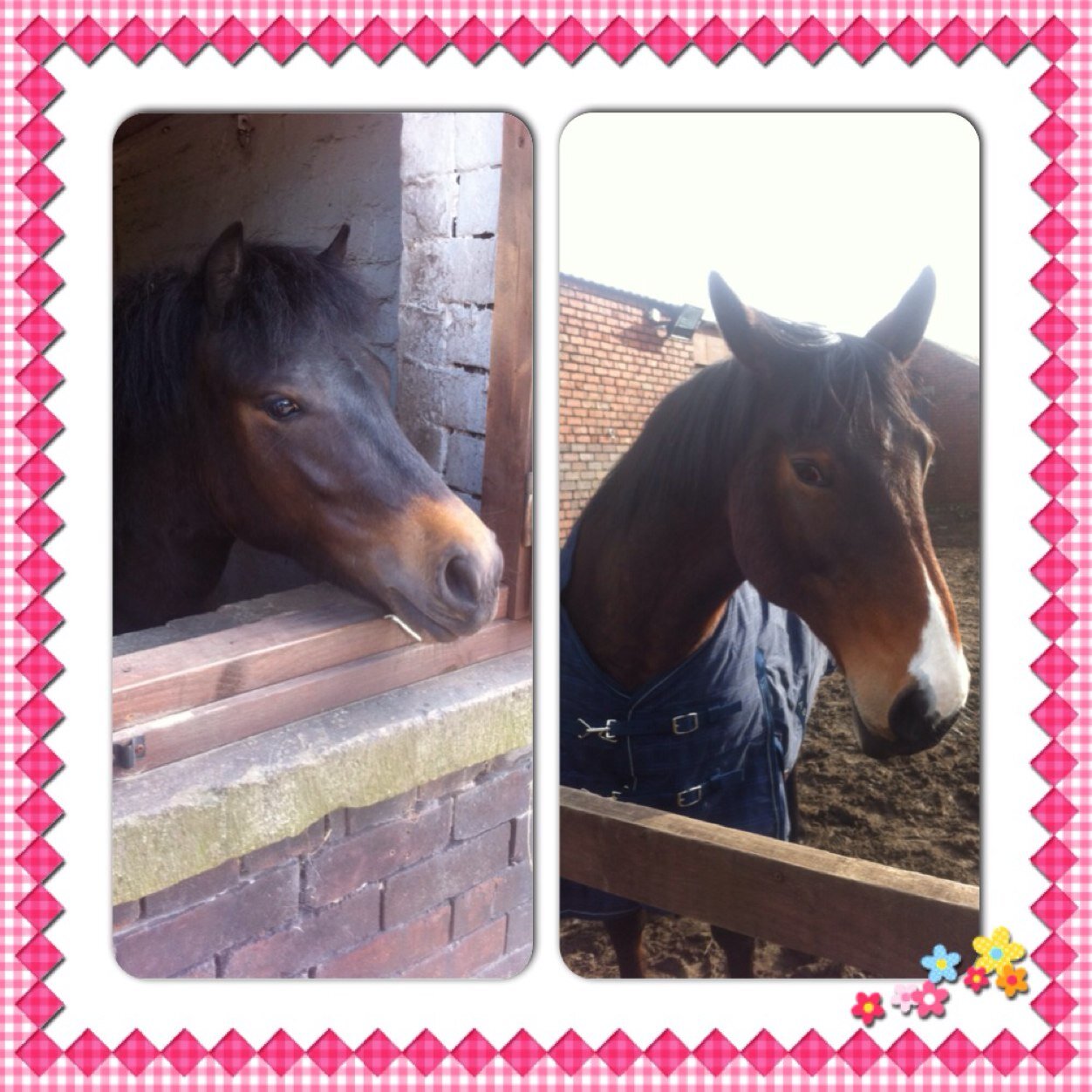 sammie3008's profile picture. 