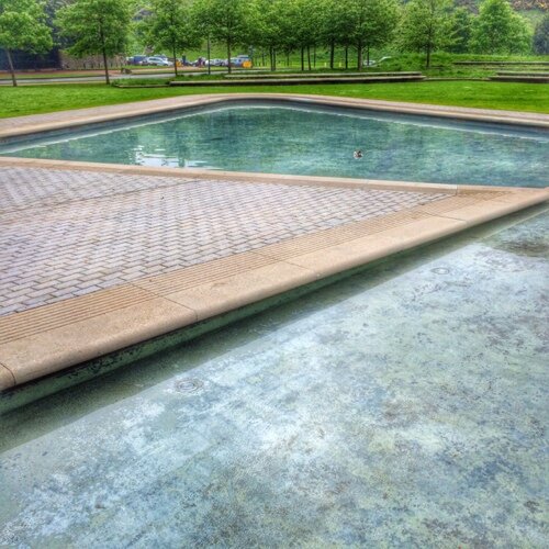 CrazyWaving's profile picture. 