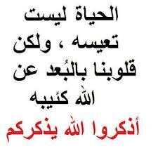 قوشابي / الشجرة جنوب الحماداب