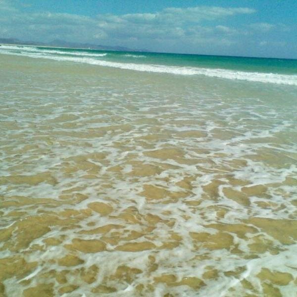 lmarsg's profile picture. 