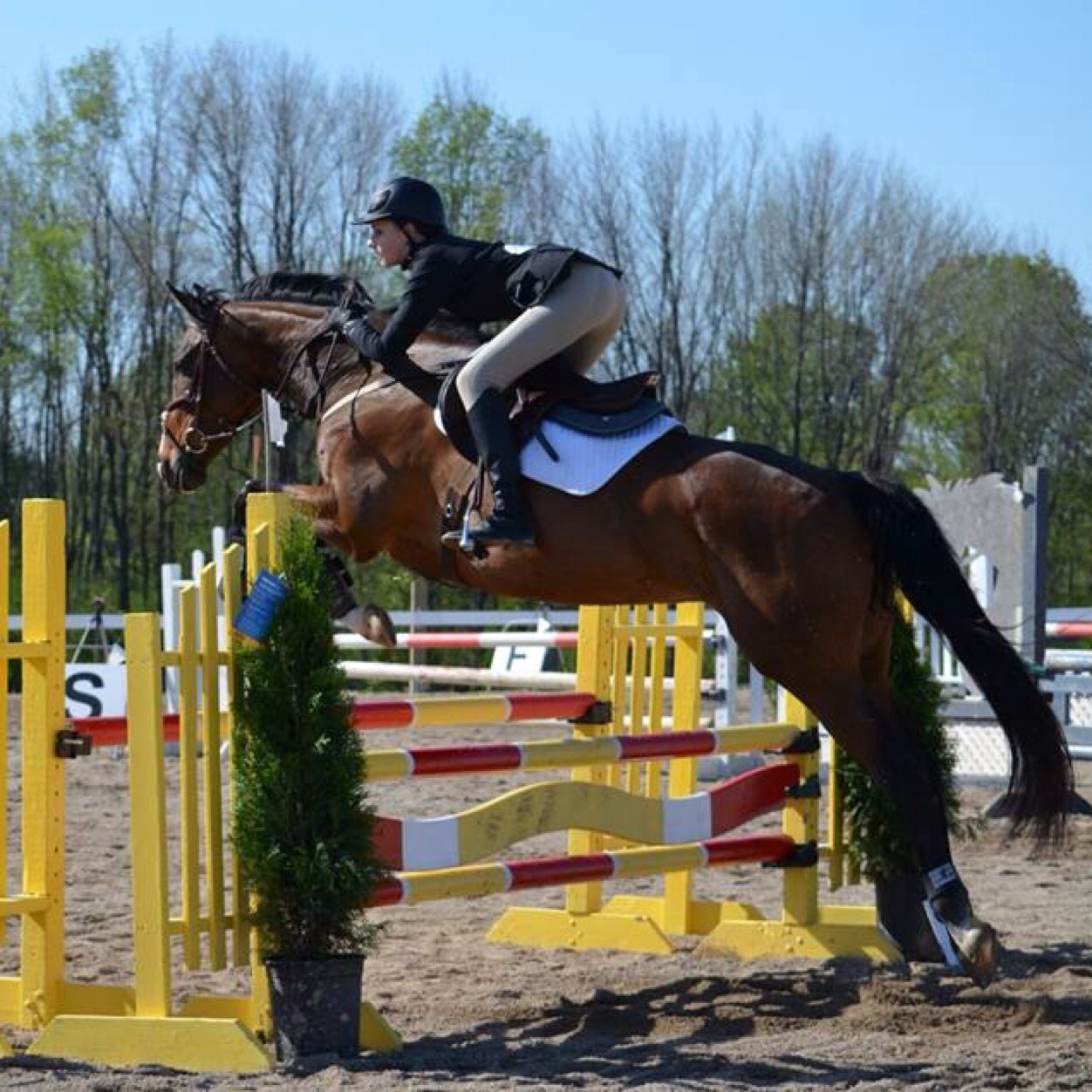 Just a sassy classy equestrian trying to make it in the world