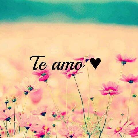 CNarbaes's profile picture. الضربة التي لا تقتلك تقويك.