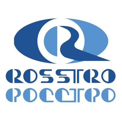 Финансово-промышленная группа РОССТРО