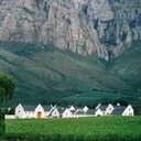 Shaun Mcleod - @noddie_gp - Twitter