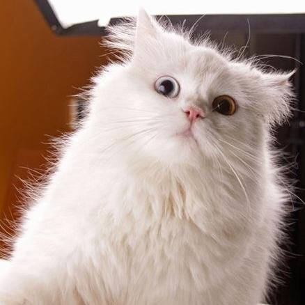 nataly_pirson's profile picture. Lost in time...