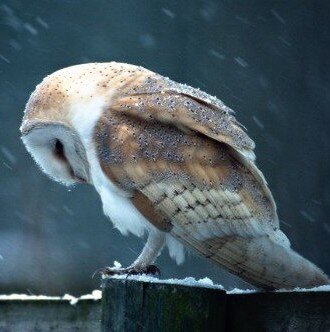 alishaaaa_11's profile picture. ЭГБЕНЬ