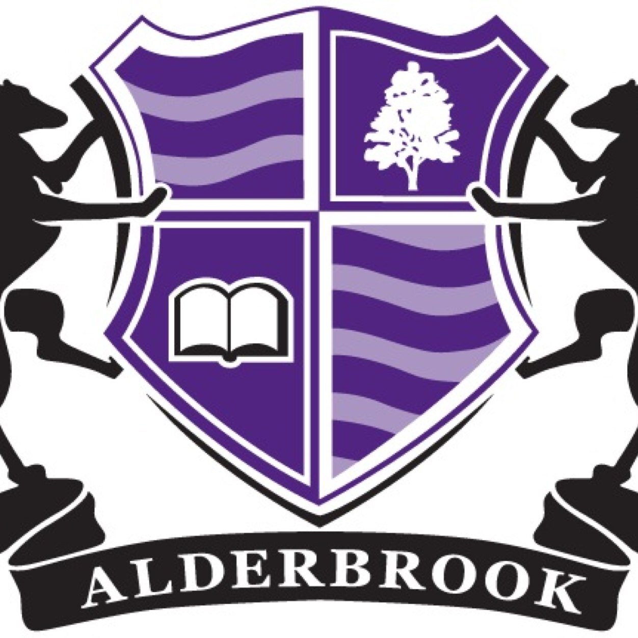 Alderbrook School PE