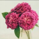 المتفائلة (@09e565a750554f1) Twitter