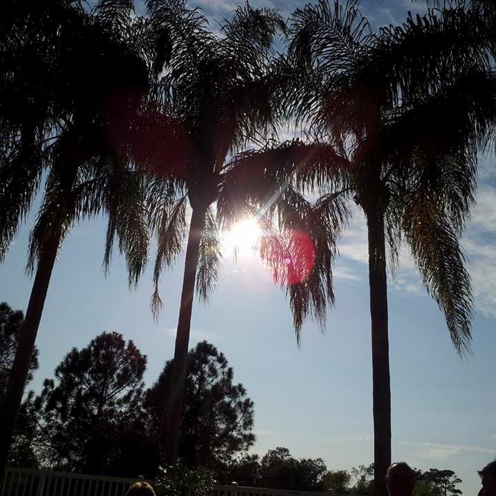 mlnuss's profile picture. just a twit among the twitters