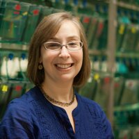 Ann C Morris (@anncmorris1) 's Twitter Profile