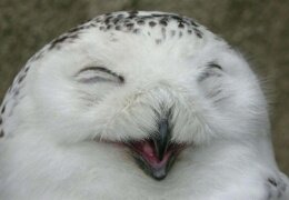 やまぬこさんのプロフィール画像