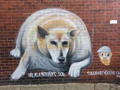 gusac1234567891's profile picture. Rugby and football lover and Wednesday all the way. higher IQ than Mr Cleary