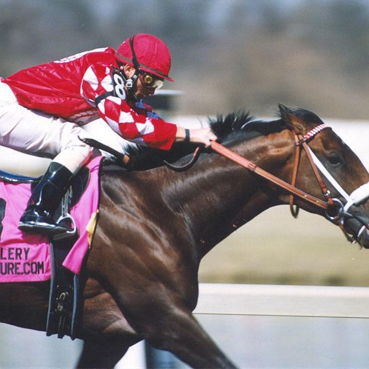 Racing pundit UK/IRE