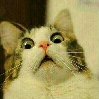 adrianverdi's profile picture. Humor negro como yo