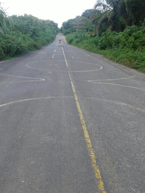 baianopinho's profile picture. 