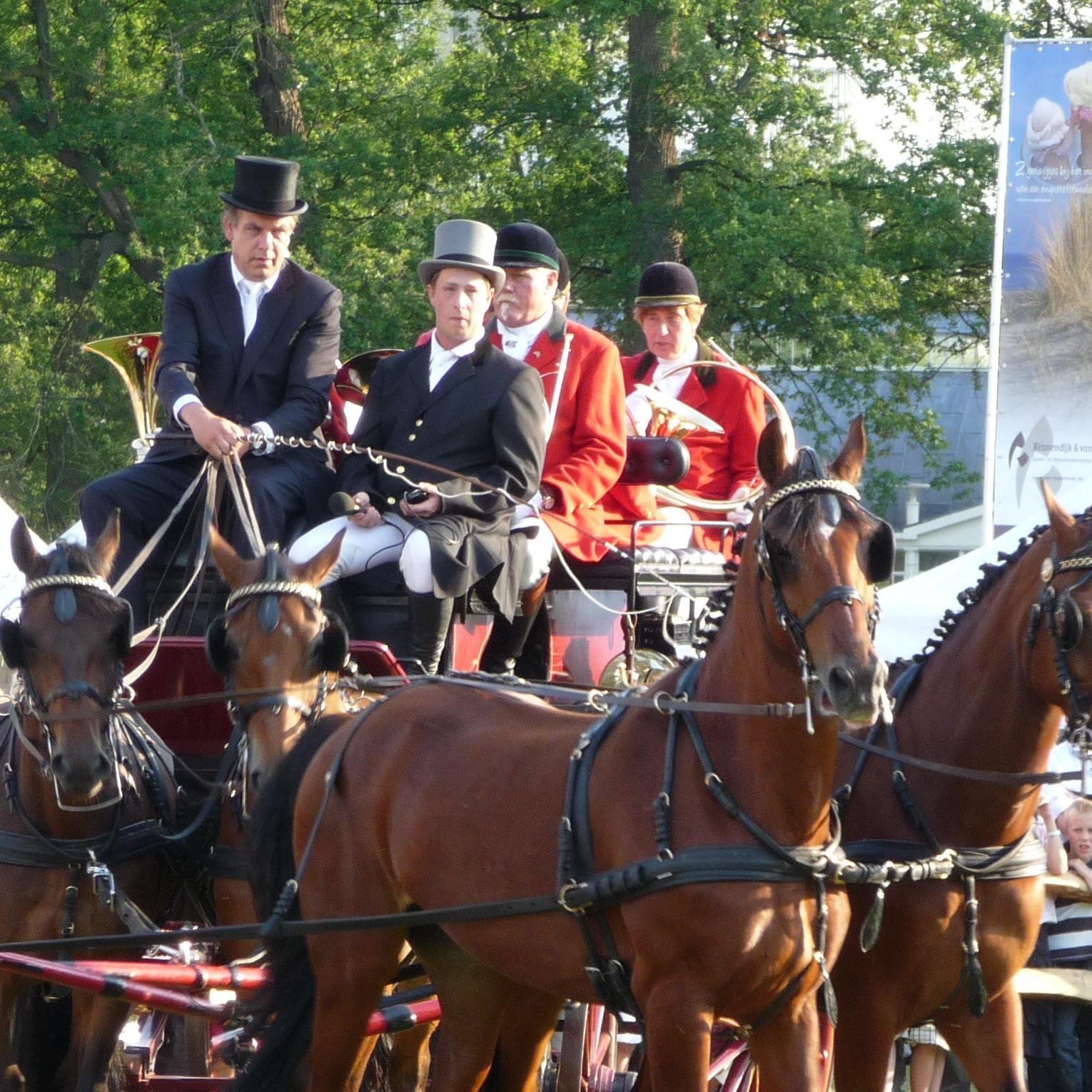 WilhelmVervat's profile picture. Paardensport, Duurzaamheid, Zorg, Bouw