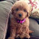 Eunice Harper - @MsEuniceHarper - Twitter