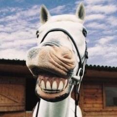 ANNABESTBETS's profile picture. 