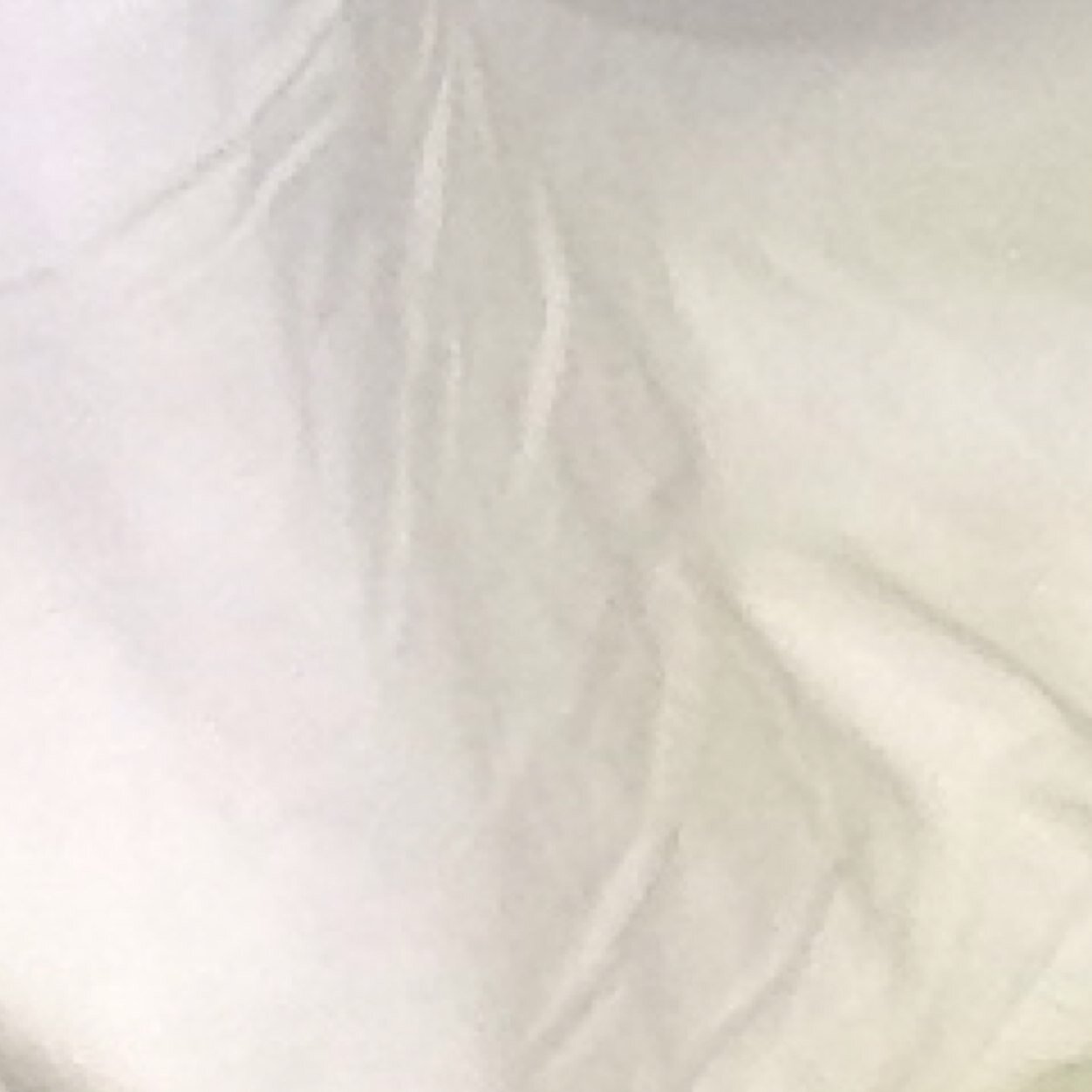 amornrar's profile picture. 