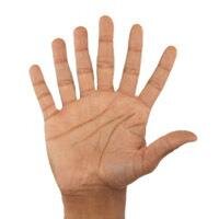 Sieteacerook's profile picture. La vida NO ME CAGÓ. Muchos viejos se murieron y PUDIERON VER AL PINCHA CAMPEÓN. Las buenas YA ME VINIERON.  #El7a0NoSeOlvidaMas.