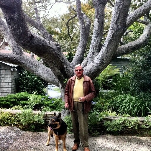 Schiffeler's profile picture. 