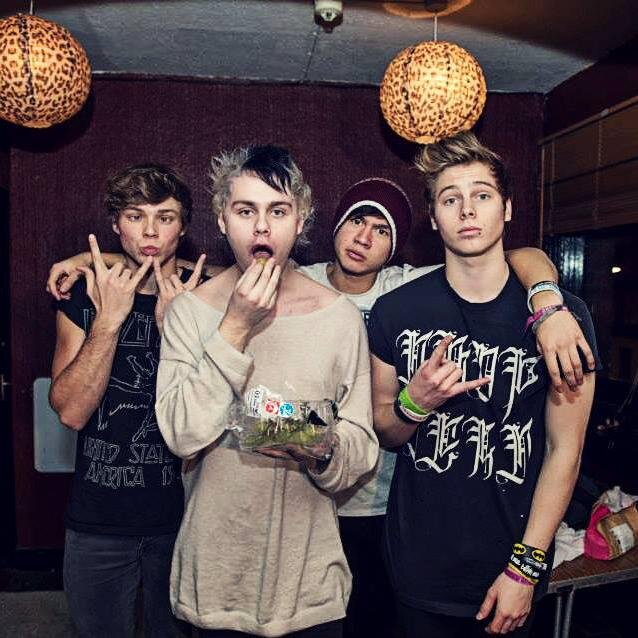 This is a DIE HARD FAN PAGE ^^ and for us 5SOS are the bestest band ever 3