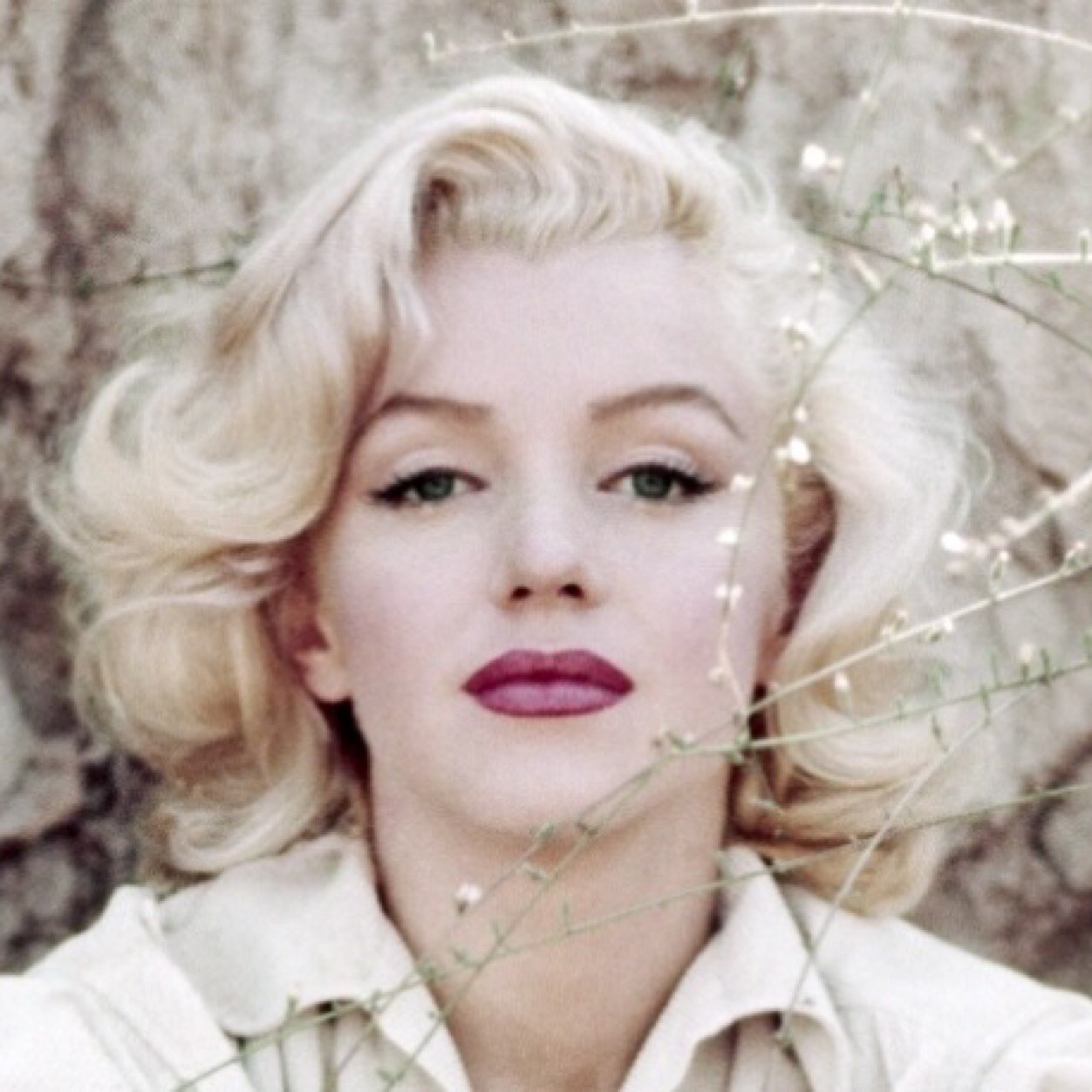 gkewz's profile picture. 美しければなんでも良し