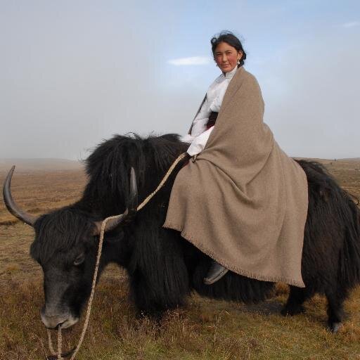 Norlha designs, produces & sells timeless yak products hanmade by nomads on the Tibetan Plateau. Our mission is to generate sustainable employment for Tibetans.