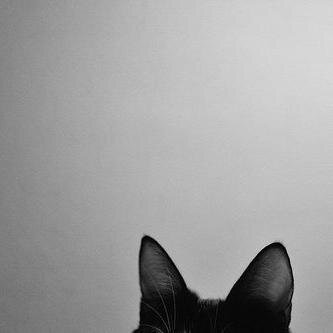 CattyKsha's profile picture. ♥ | Never stop making wishes. | ♥