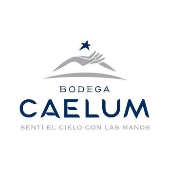 Caelum is a family-run and owned, boutique winery located in Mendoza, Argentina. We produce wines that we love hoping other people love as well.
