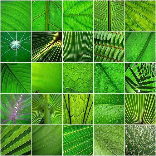 rc2013IK's profile picture. 