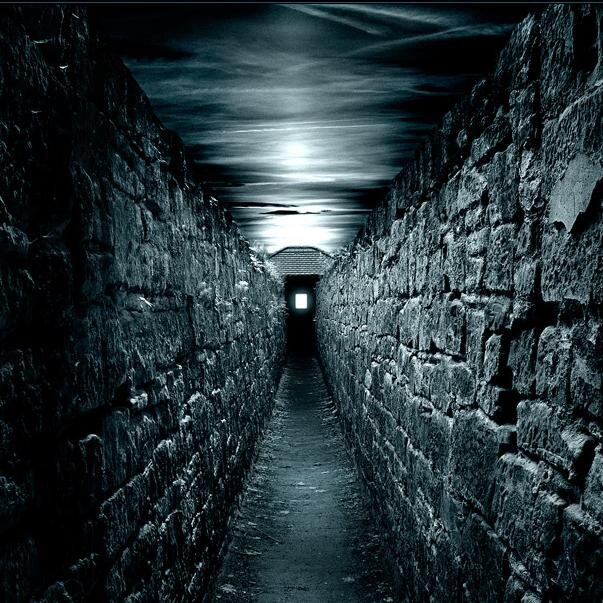 _MaroonBerets_'s profile picture. 