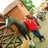 anujraina133's profile image