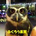 ふくろう茶房［公式］： (@owlcafe_fukurou) Twitter profile photo