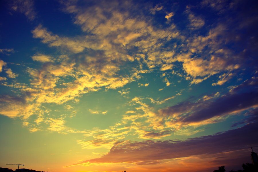 AmandaL00484667's profile picture. 