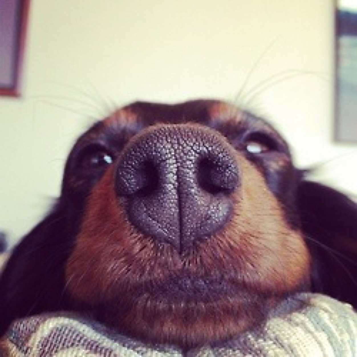 H e l l o o o o