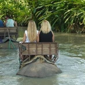 LauraaaJwz's profile picture. Live simply, Dream big, Give love, Laugh lots~