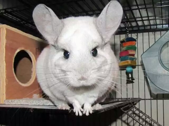 revamichael's profile picture. 